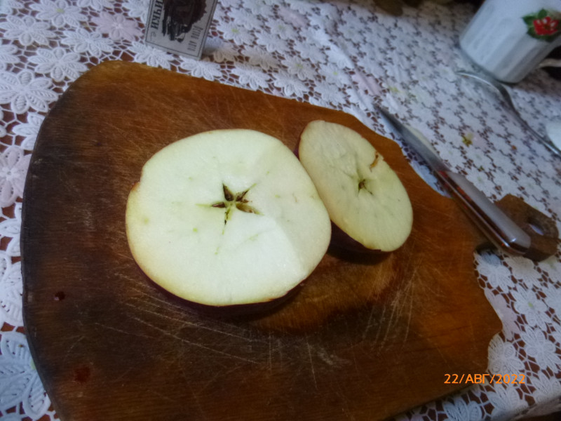 P1020797.JPG
