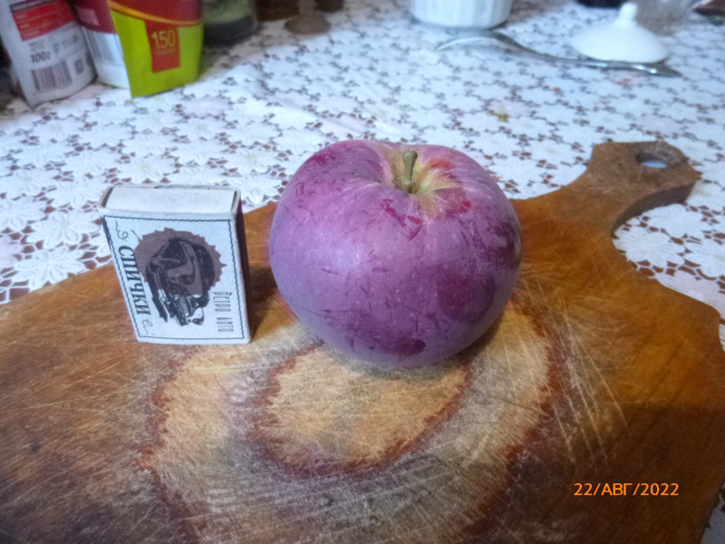 P1020794.JPG