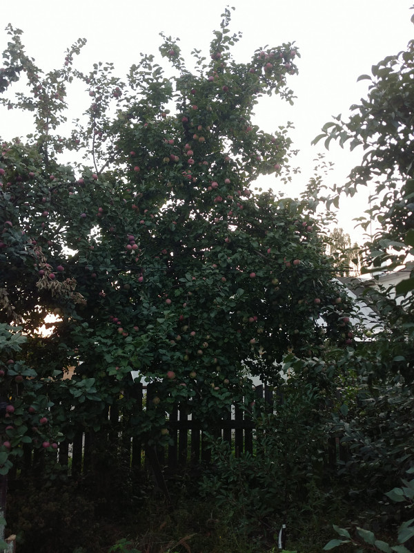 IMG_20220822_190415.jpg