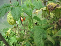 IMG_8864.jpg