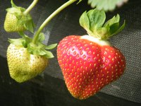 DSCF1737.JPG