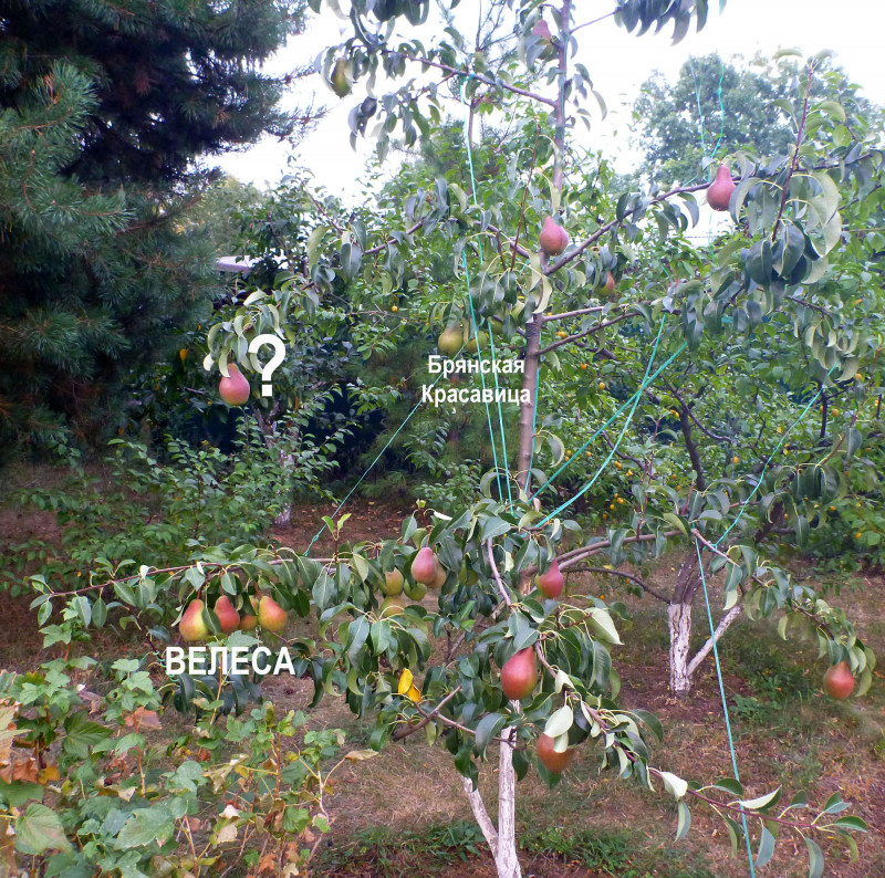 01 P1280240.JPG
