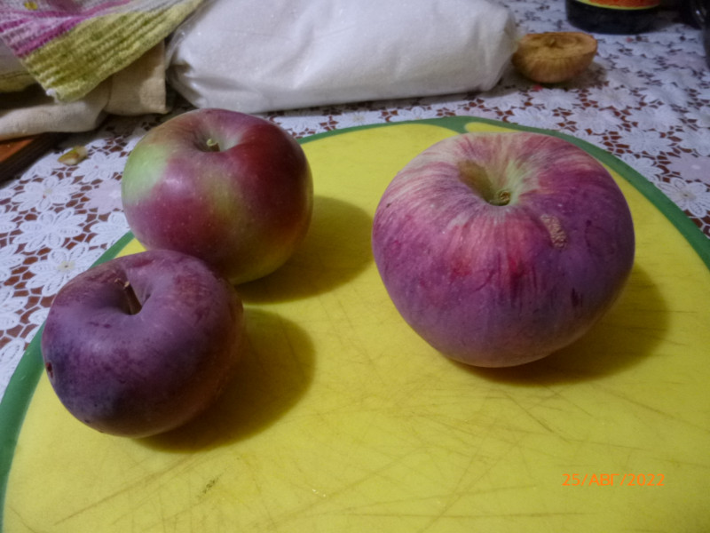 P1020799.JPG