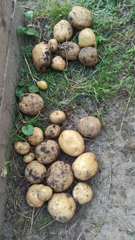 IMG-20220826-WA0043.jpeg