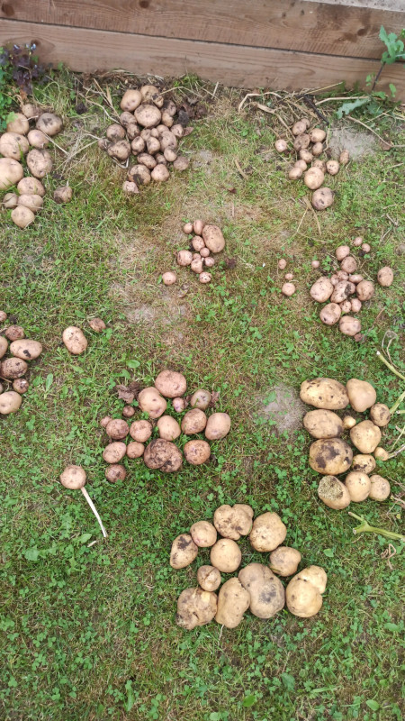 IMG-20220827-WA0010.jpeg