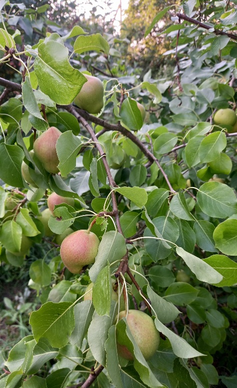 20220829_101731.jpg