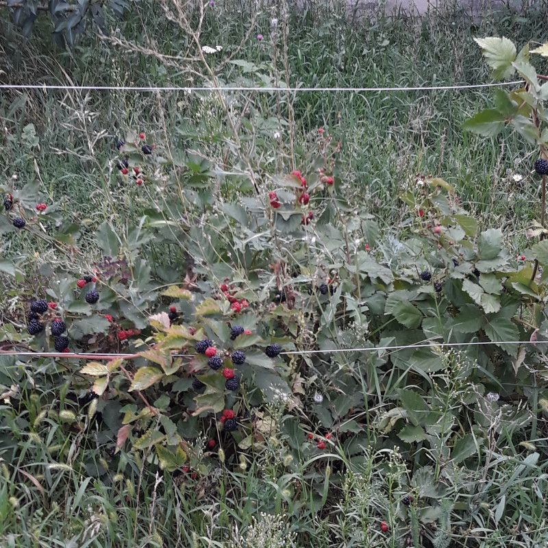 20220813_170834.jpg