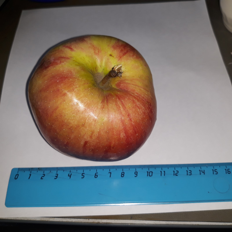 20220830_133036.jpg
