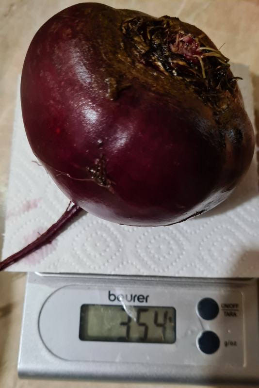 20220904_203635.jpg