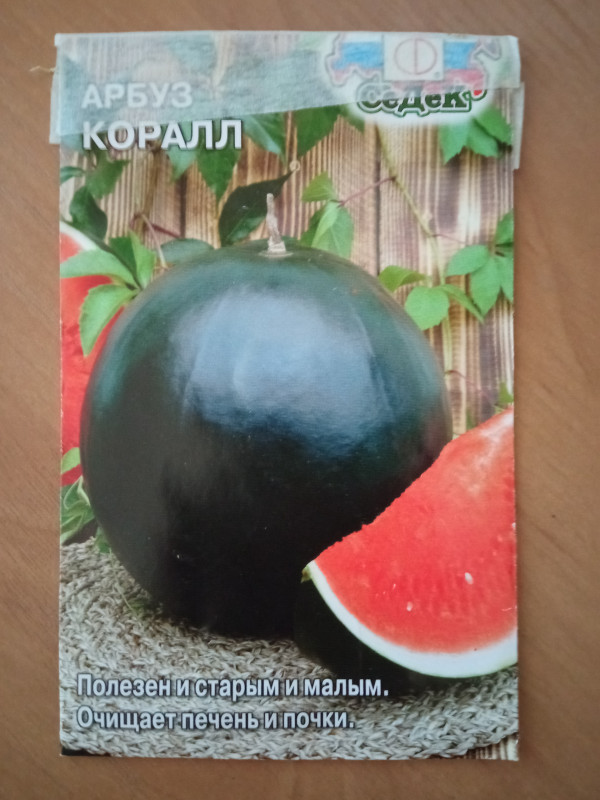 Семена.jpg