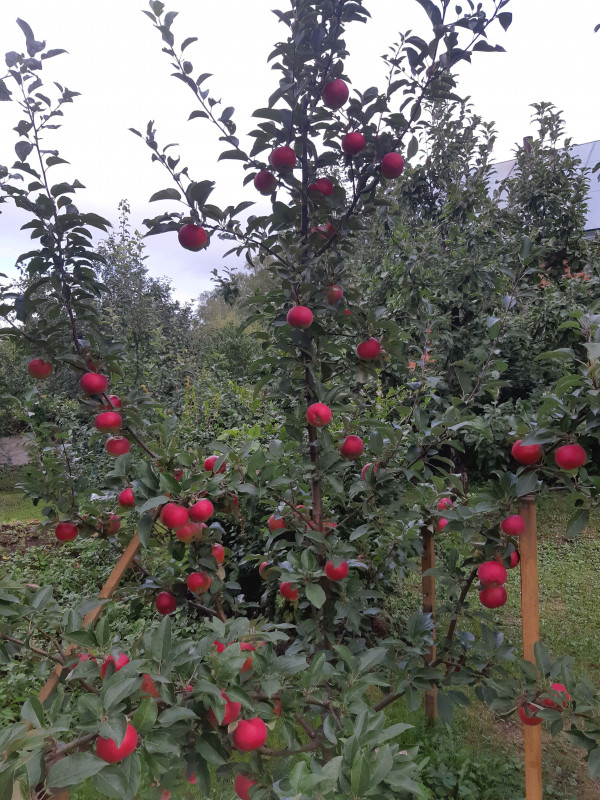 20220909_124124-min.jpg