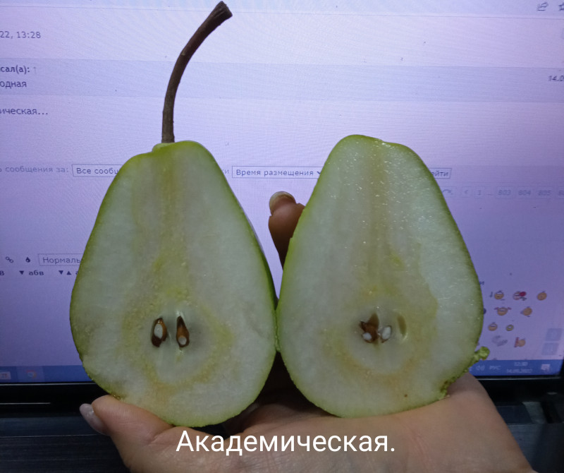 IMG_20220914_123111.jpg