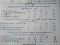 1406873925731.jpg