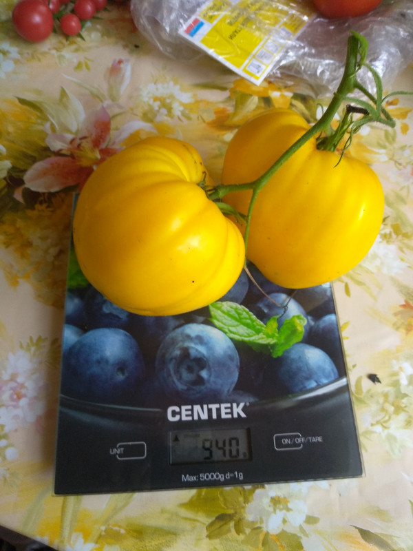 Сердце из Цинциннати