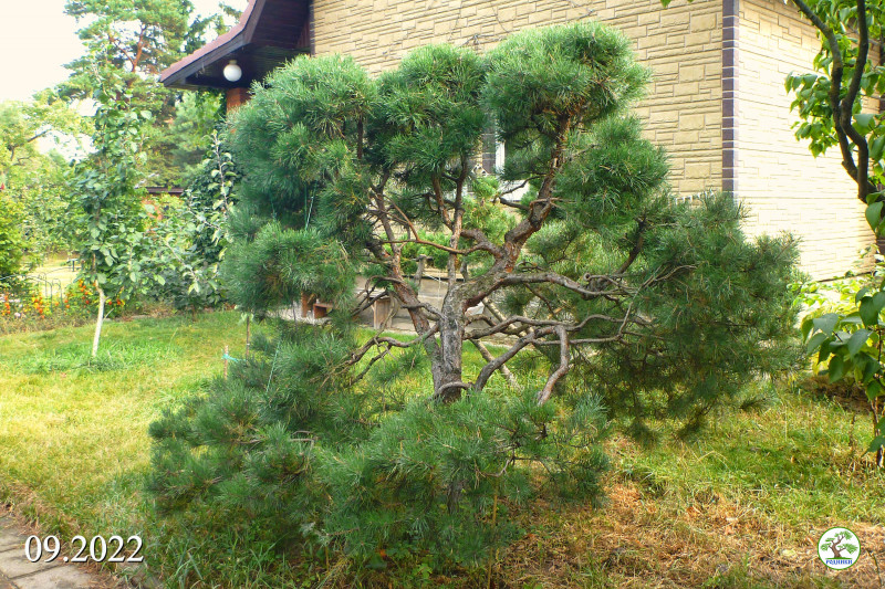 Хв9 2022_09.jpg