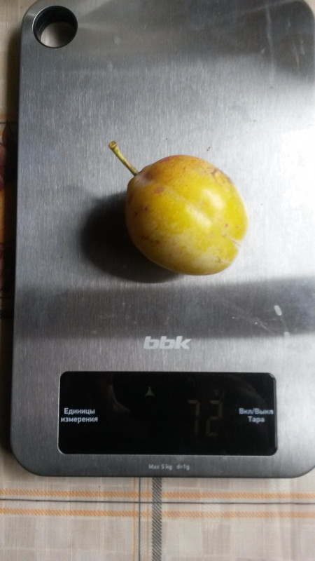 20220918_134034.jpg