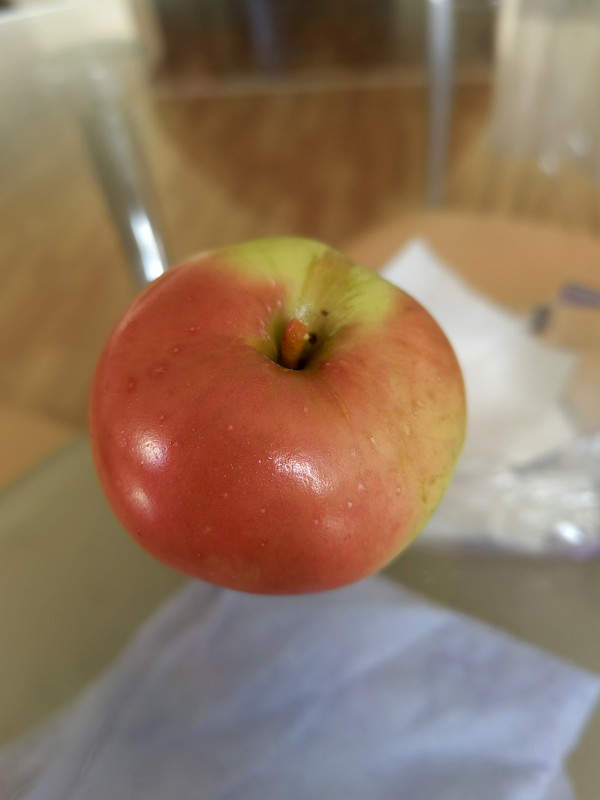 IMG_20220917_082416.jpg