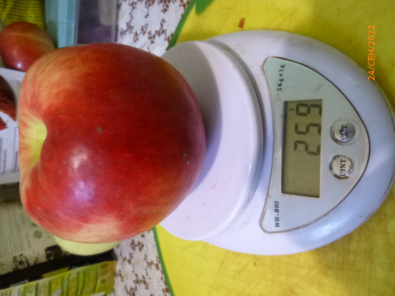 P1020820.JPG