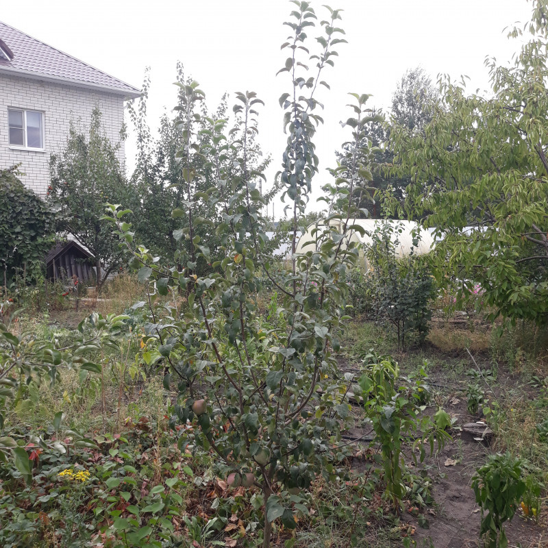 20220903_171051.jpg