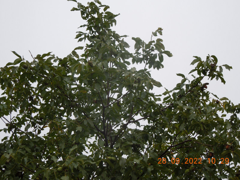 DSCN9303.JPG