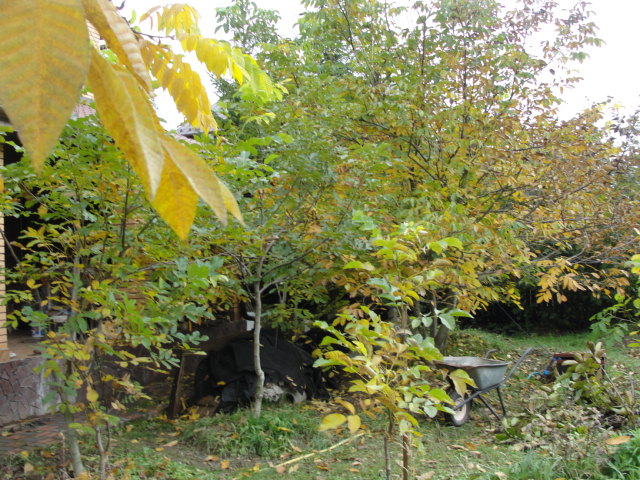 DSC07522.JPG
