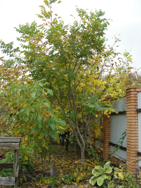 DSC07515.JPG