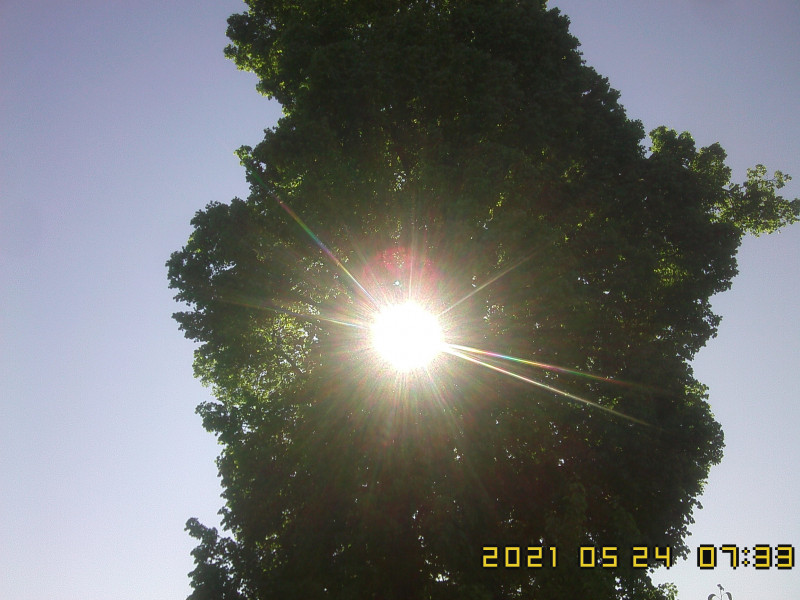 IMG10233.jpg