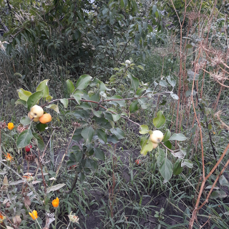 20220813_171316.jpg