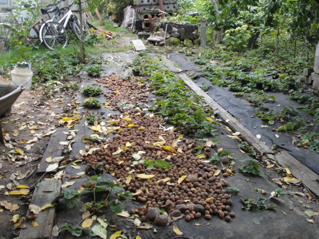 DSC07546.JPG