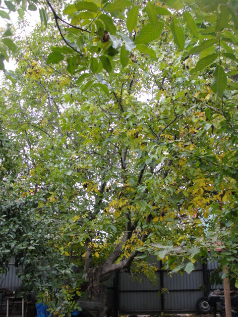 DSC07549.JPG