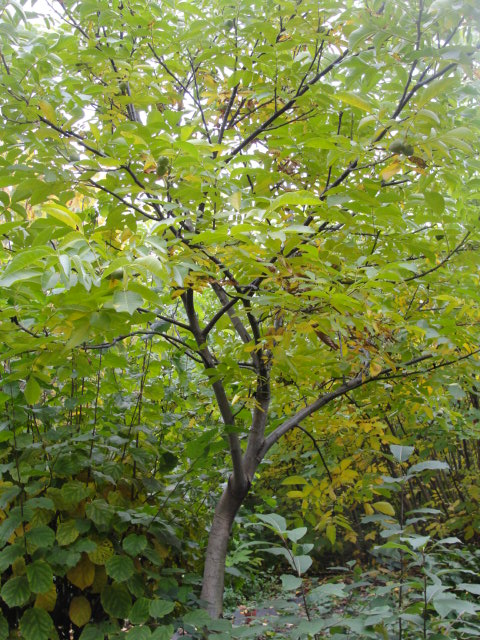 DSC07556.JPG