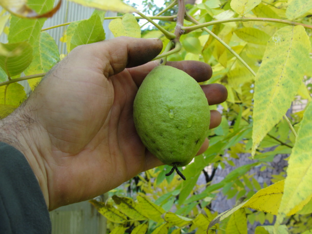 DSC07563.JPG