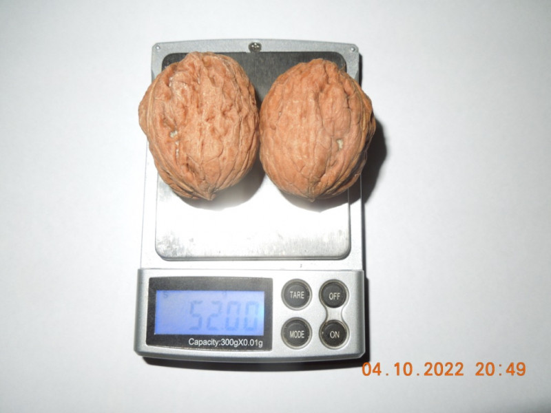 DSCN9305.JPG