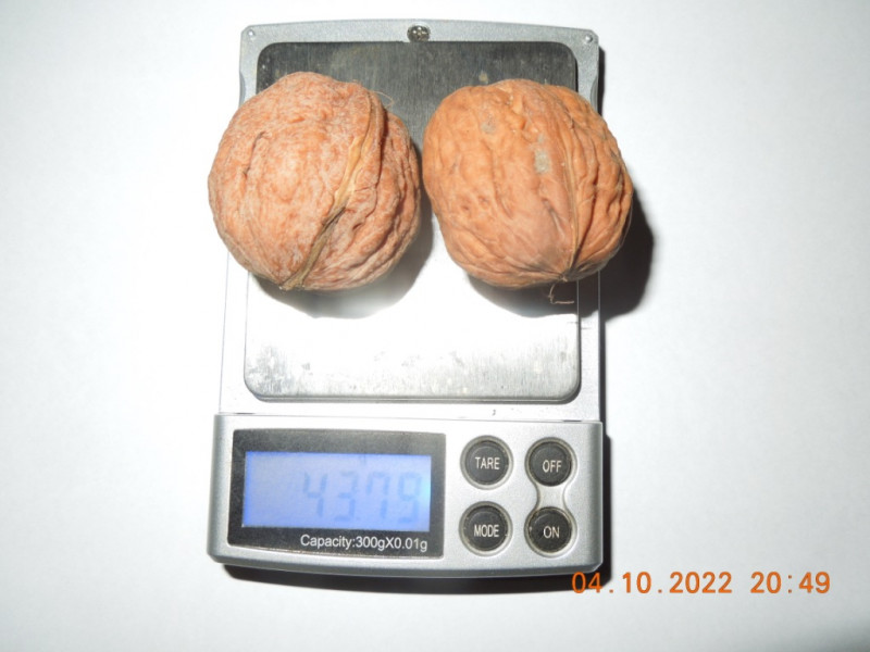 DSCN9306.JPG