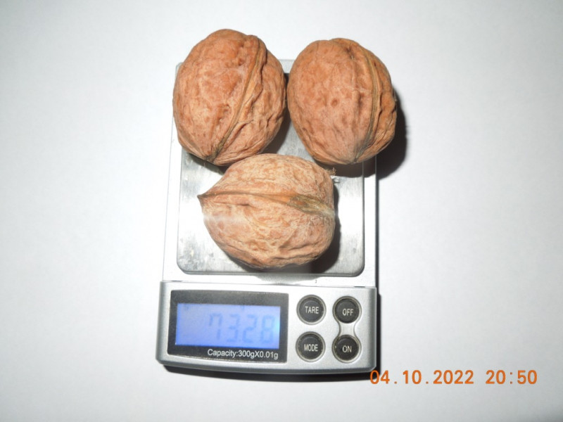 DSCN9307.JPG