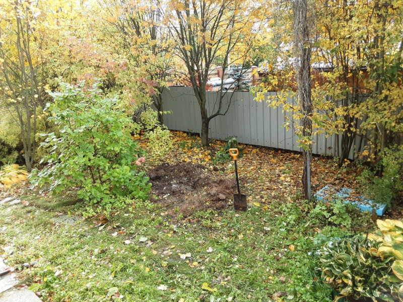 IMG-20221005-WA0006.jpg