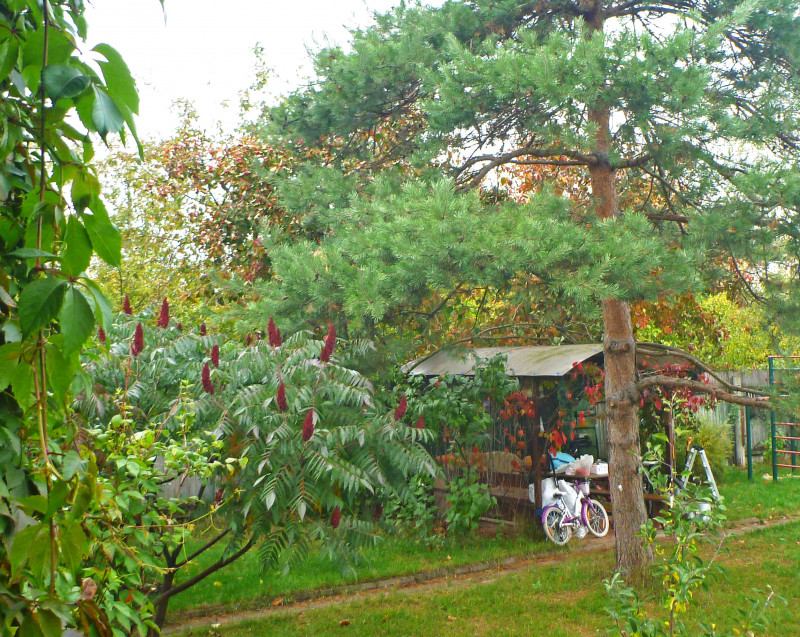 P1280815.jpg