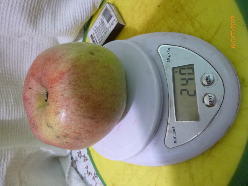 P1020830.JPG