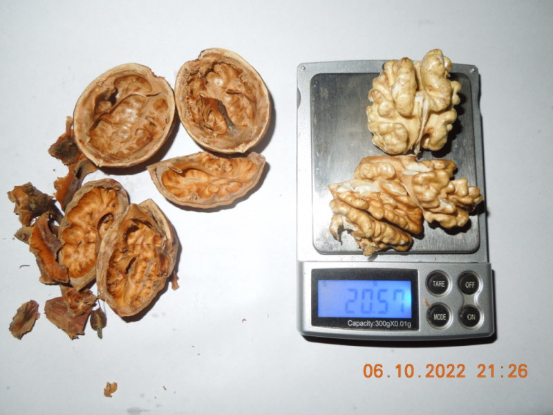 DSCN9314.JPG
