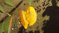 20140807_100628.jpg