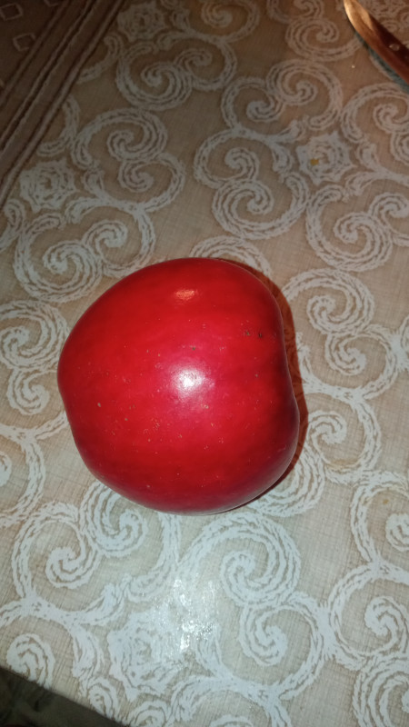 IMG_20221009_185306.jpg