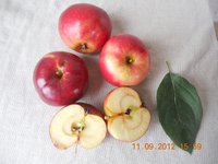 DSCN5159.JPG
