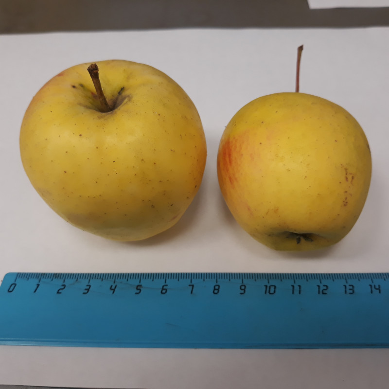 20221010_090507[1].jpg