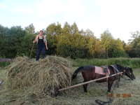 сенокос и около 043.jpg