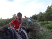 сенокос и около 060.jpg
