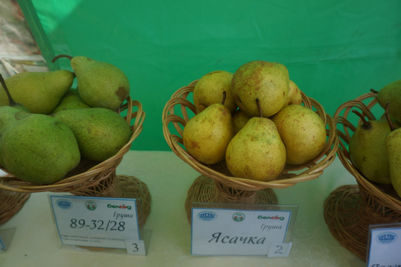 IMG-4226b0aec5b7f4bd141ff73104f76a71-V.jpg
