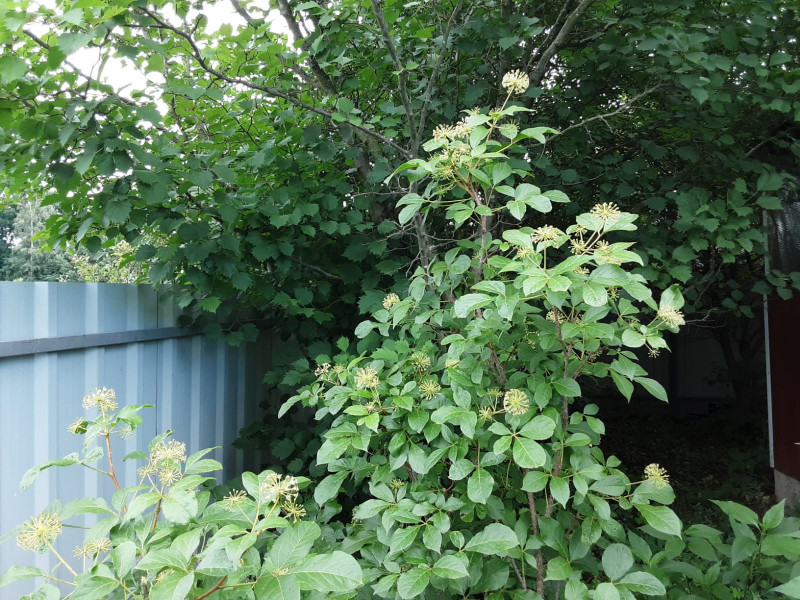IMG-20221022-WA0004.jpg