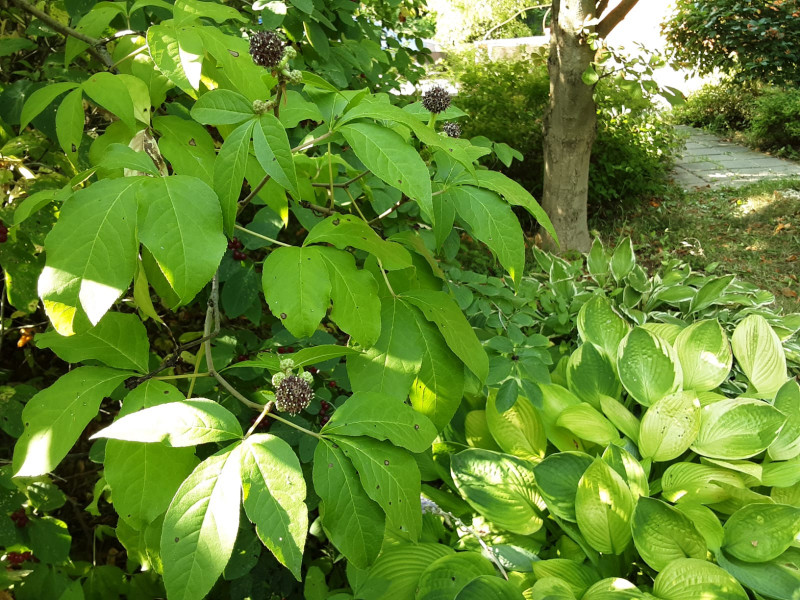 IMG-20221022-WA0007.jpg
