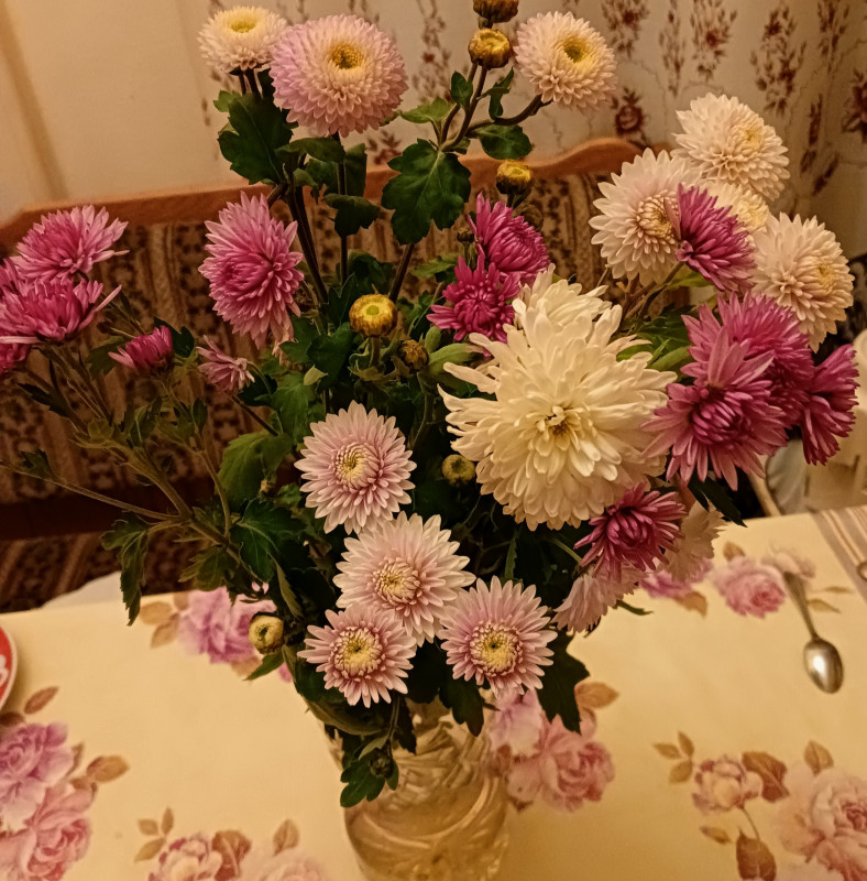 IMG_20221027_193819.jpg