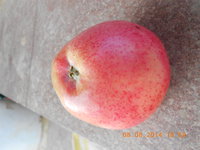 DSCN4716.JPG
